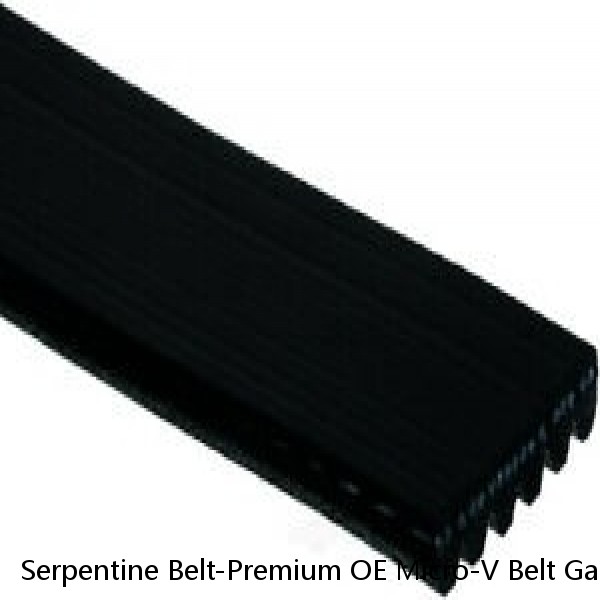 Serpentine Belt-Premium OE Micro-V Belt Gates fits 05-07 Ford Focus 2.0L-L4