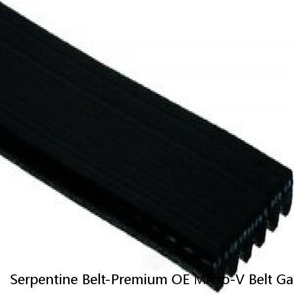 Serpentine Belt-Premium OE Micro-V Belt Gates K060840