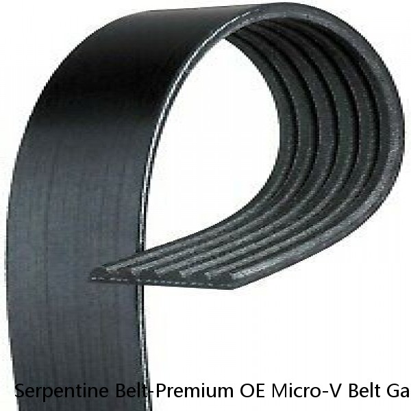 Serpentine Belt-Premium OE Micro-V Belt Gates K060840