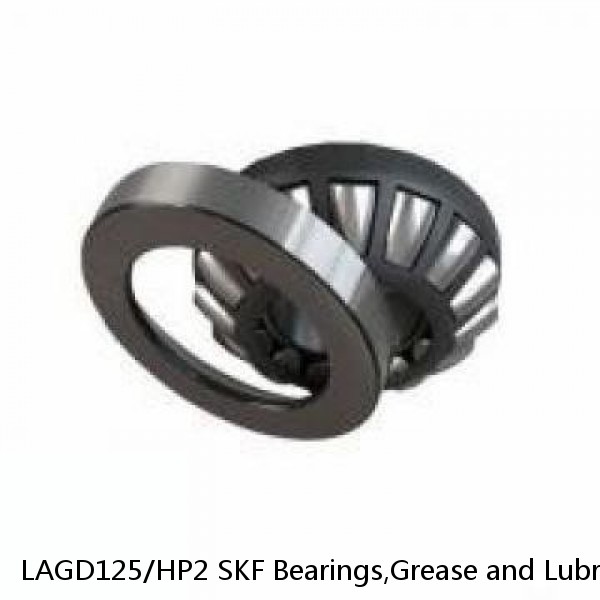 LAGD125/HP2 SKF Bearings,Grease and Lubrication,Grease, Lubrications and Oils