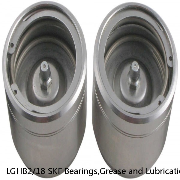 LGHB2/18 SKF Bearings,Grease and Lubrication,Grease, Lubrications and Oils