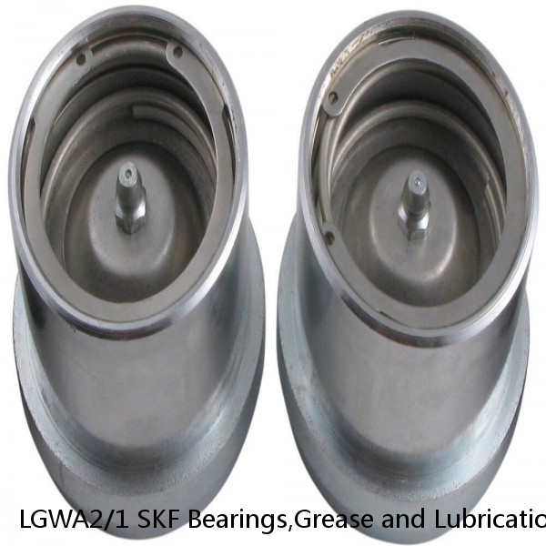 LGWA2/1 SKF Bearings,Grease and Lubrication,Grease, Lubrications and Oils