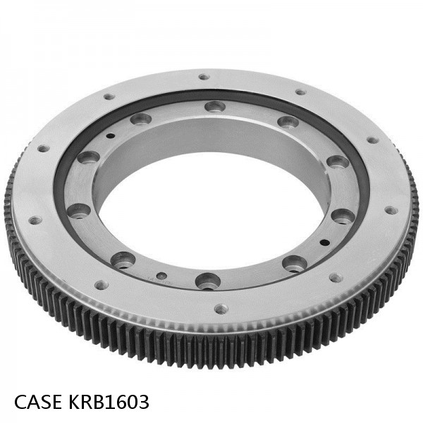 KRB1603 CASE SLEWING RING for CX210