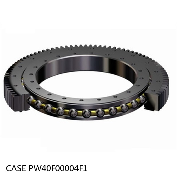 PW40F00004F1 CASE Turntable bearings for CX31B