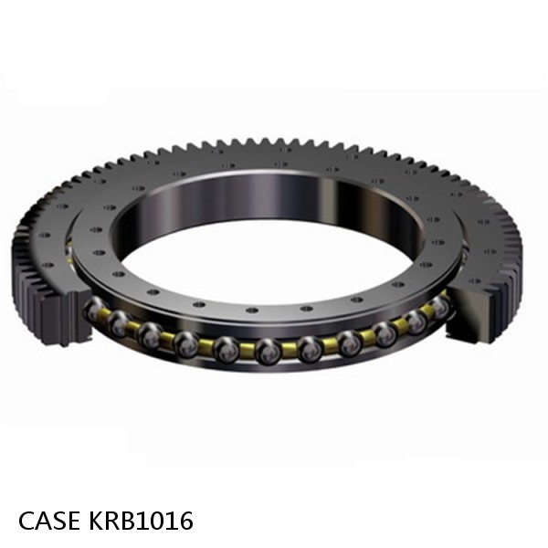 KRB1016 CASE Slewing bearing for CX210