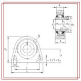 INA TSHE20-N Bearing Units